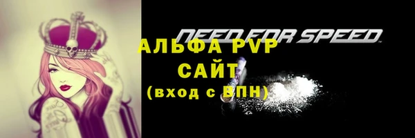 стаф Елабуга