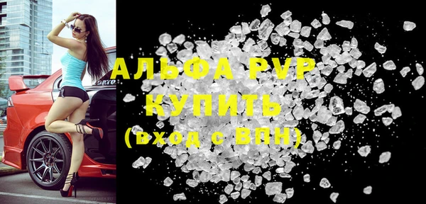 стаф Елабуга
