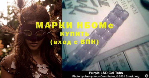 стаф Елабуга
