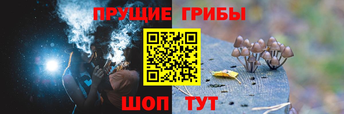 продажа наркотиков  Вход с VPN  Галлюциногенные грибы Psilocybe  Славянск-на-Кубани  Псилоцибиновые грибы Psilocybine cubensis 